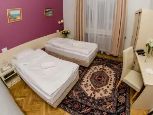 Hotel Hutnik