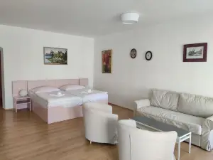 Hotel Celerin