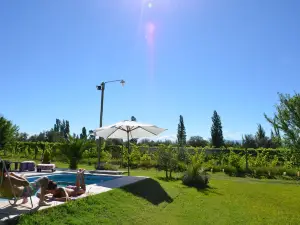 Finca Fisterra