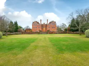 ニュー プレイス