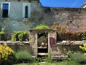 Côté-Serein - Domaine de Venoise