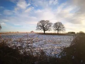 Relax in a 1 Bedroom Apartment Near a Country Pub