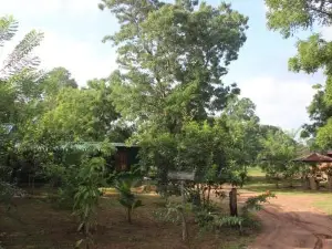 Wilpattu Holiday Home