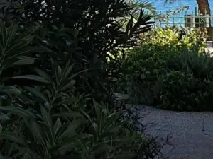 Garden Lefkanti, 4Season Plaza Room