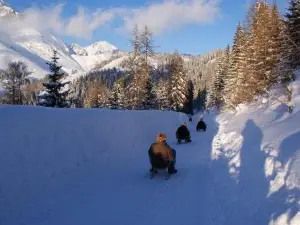 Strussingalm