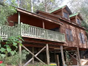 Barrington Wilderness Cedar Lodge Accommodation