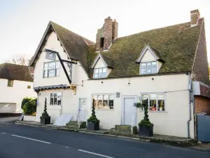 The Dog at Wingham