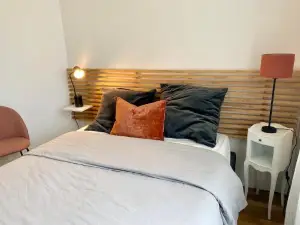 Cinéma privé/ Proche Paris/Orly