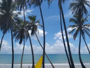 Cabanas Caraúbas - Visual incrível Para o Mar