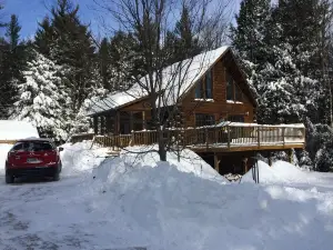 Light-Filled Log Home, 4 Wooded Acres, & Lake Access.  The water is 0.4 mi away.