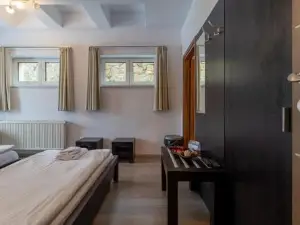 Pensiunea Aria Paltinis