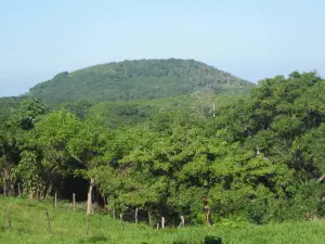 La Mayur Cottage