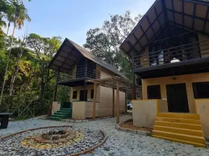 KaatiKaadu