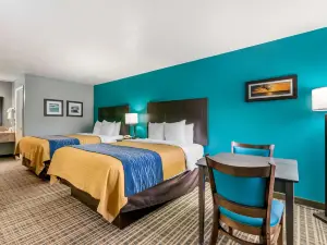 Comfort Inn Sun City Center - Ruskin - Tampa South