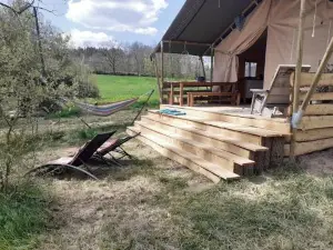 Luxe Safarilodgetent Met Boxspring Bedden