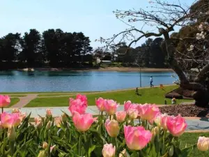 Zoo Villas: Villa Giraffe - Central Wynyard