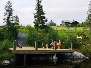 Blåfjell Hundesenter Fjellhotell