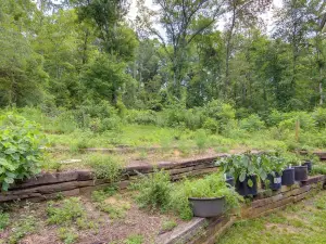 Charming Rusk Guest Cabin w/ Shared Yard