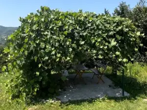 Vila Mana