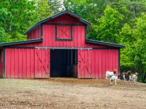 Charming Cottage with Fire Pit and Scenic Views - Tranquil Farm Escape