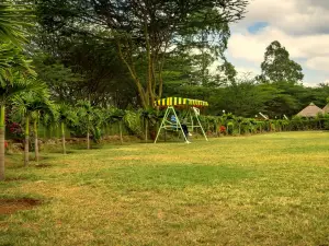 The Old Kings Lodge and Resort