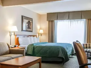 Quality Inn & Suites