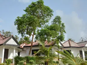 Busua Paradiso Beach Resort