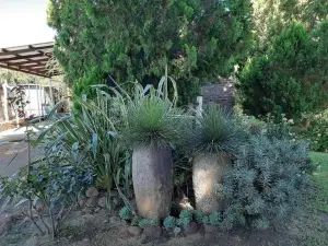 The Nook