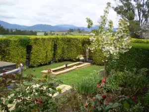 Willowlodge