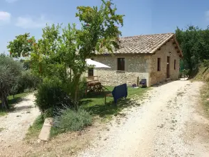 Il Merangolo