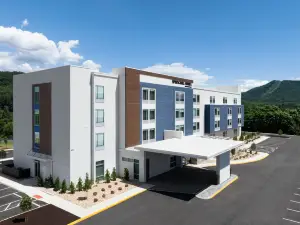 SpringHill Suites Roanoke North