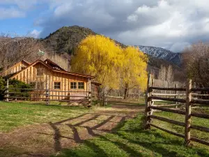 Cozy Bunkhouse and Creekside Sauna Cabin next to the National Forest.
