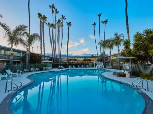 The Leta Santa Barbara Goleta, Tapestry Collection by Hilton