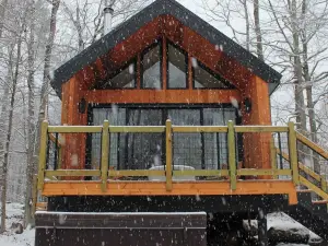 Nordic House - Glamping Cabin w Hot Tub, Sauna, Cold Plunge + Waterfront w Dock