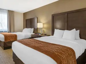 Comfort Inn Williamsport