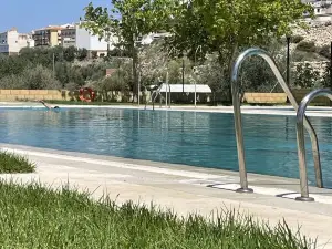 Olive & Ivy Guesthouse