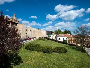 Hotel Puerta de la Santa