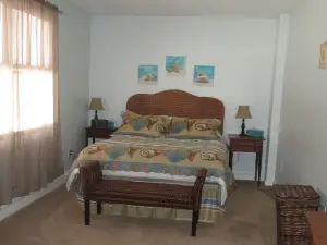 Quiet Neighborhood, For Bird Lovers