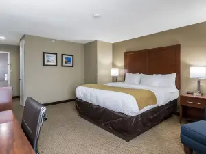 Comfort Inn N Myrtle Beach Barefoot Landing