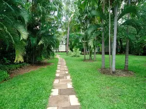 Pandanus on Litchfield