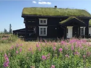 4 Bedroom Cozy Home in Eggedal