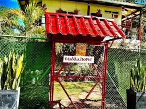 Budda Home