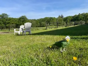 Gîte à la Campagne 1 Chambre les Grandes Maisons Espace Jacuzzi Hammam Spa