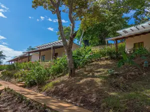 Tarcoles Birding Lodge