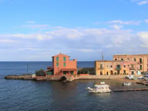 Villa Edera Rental Room