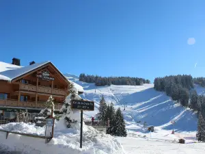 Hôtel Restaurant Les Sapins Wellness & Gourmet