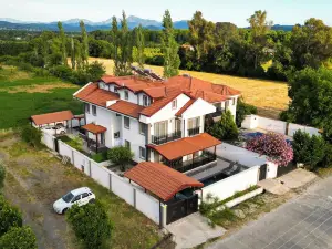 エルメット ホームズ コイジェイズ