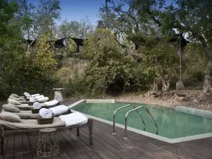 Banjaar Tola Kanha National Park - A Taj Safari Lodge