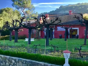Les Pins Blancs en Provence