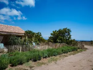 Le Hameau des Pesquiers Ecolodge & Spa, Curio Collection by Hilton